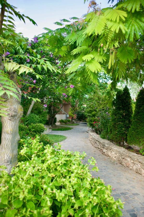 Vamabel House Bed and Breakfast Vama Veche Eksteriør billede