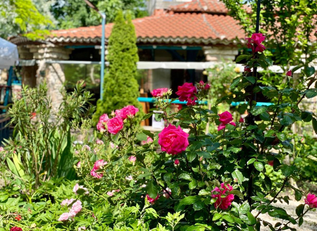 Vamabel House Bed and Breakfast Vama Veche Eksteriør billede