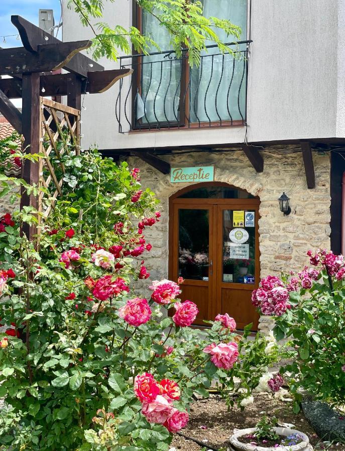Vamabel House Bed and Breakfast Vama Veche Eksteriør billede